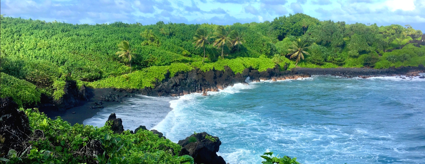 maui fantastic tours hana